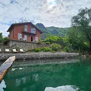 Borealis , Koman Albania